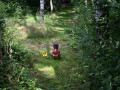 LM3D_2024_12